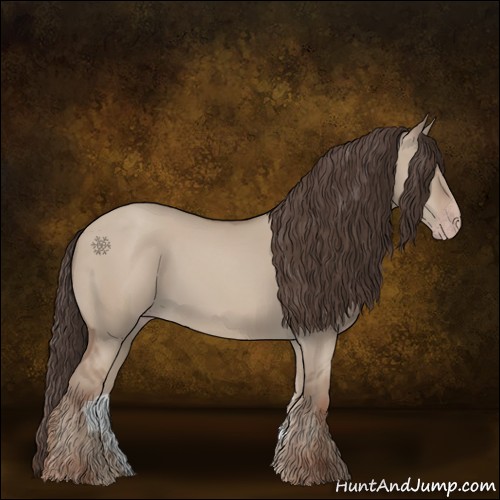Horse Color:Classic Champagne Dun 