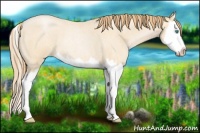 Horse Color:Smoky Blue Roan Pearl Splash 