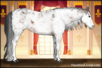 Horse Color:Bay Sabino 