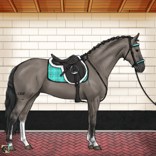 Horse Color:Grullo Sabino
