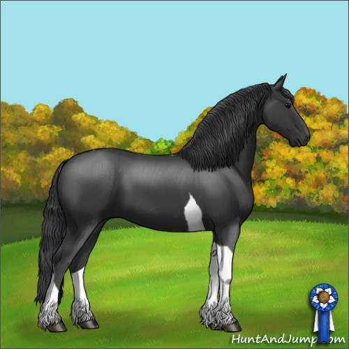 Horse Color:Black Sabino Tobiano