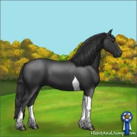 Horse Color:Black Sabino Tobiano 