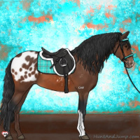 Horse Color:Bay Appaloosa 