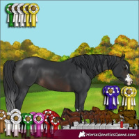 Horse Color:Brown 
