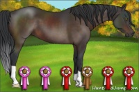 Horse Color:Brown 