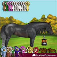 Horse Color:Brown 