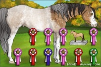 Horse Color:White Spotted Buckskin Dun Sabino 