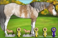 Horse Color:White Spotted Buckskin Dun Sabino