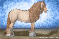 Horse Color:Gold Champagne Roan 