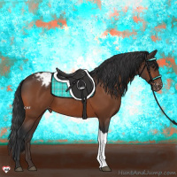 Horse Color:Brown Appaloosa 