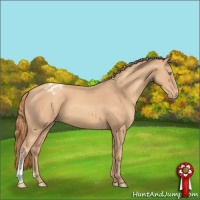 Horse Color:Gold Champagne Varnish