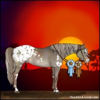 Horse Color:White Spotted Liver Red Dun Sabino Appaloosa 