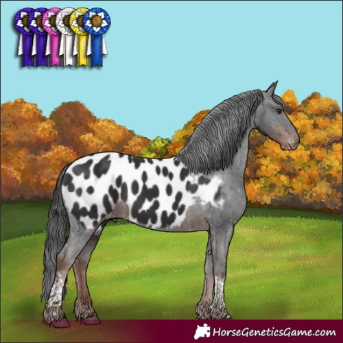 Horse Color:Liver Chestnut Tobiano Near Leopard