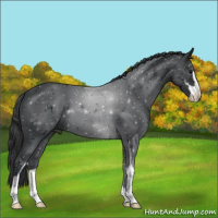 Horse Color:Black Sabino