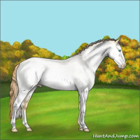 Horse Color:White Spotted Buckskin Pearl 