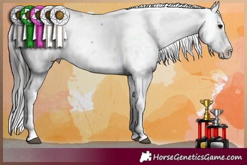 Horse Color:Brown Sabino 