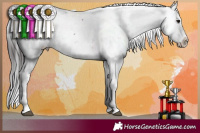 Horse Color:Brown Sabino