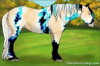 Horse Color:White Spotted Silver Amber Cream Champagne