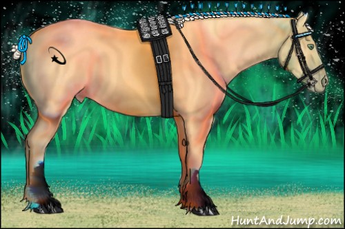 Horse Color:White Spotted Gold Cream Champagne 