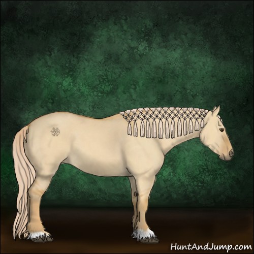 Horse Color:Palomino Dun 