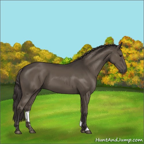 Horse Color:Smoky Black Sabino 