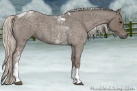Horse Color:Silver Blue Roan Tobiano 