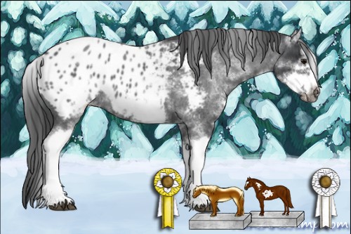 Horse Color:White Spotted Blue Roan Splash Frame Appaloosa 