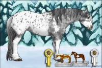 Horse Color:White Spotted Blue Roan Splash Frame Blanket