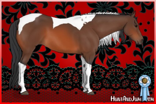 Horse Color:Bay Tobiano 