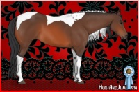 Horse Color:Bay Tobiano