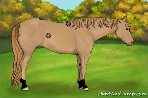 Horse Color:Void Chestnut 