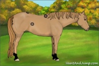 Horse Color:Void Chestnut 