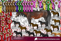Horse Color:Brown 