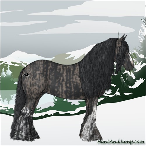 Horse Color:Grullo and Black