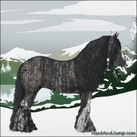 Horse Color:Grullo  and Black 