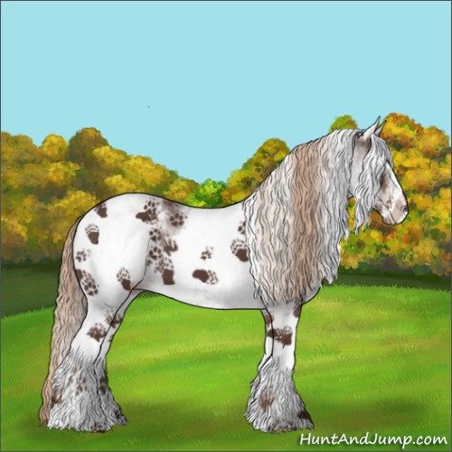 Horse Color:White Spotted Liver Chestnut 
