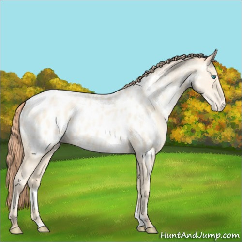 Horse Color:Amber Cream Champagne Pearl Blanket 