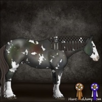 Horse Color:White Spotted Liver Chestnut Splash 
