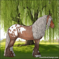 Horse Color:Silver Bay Roan Appaloosa 