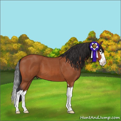 Horse Color:Brown Roan Sabino Splash 