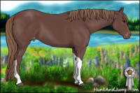 Horse Color:Chocolate Smoky Black Tobiano Varnish Rabicano