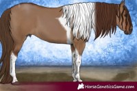 Horse Color:Gray Red Dun Tobiano 