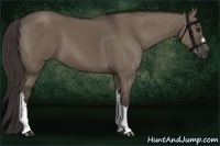 Horse Color:Smoky Grullo 