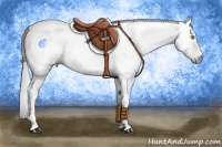 Horse Color:Gray Amber Champagne Dun Tobiano Rabicano
