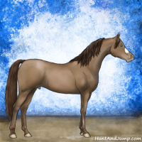 Horse Color:Gray Smoky Black Pearl 