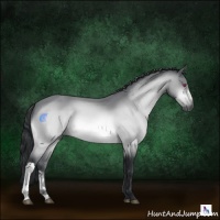 Horse Color:Brown Chinchilla 