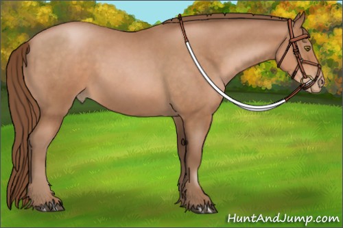 Horse Color:Brown Roan Pearl 