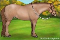 Horse Color:Brown Roan Pearl