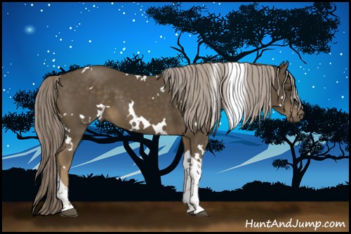 Horse Color:White Spotted Chocolate Palomino Tobiano