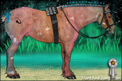 Horse Color:White Spotted Silver Bay Roan 